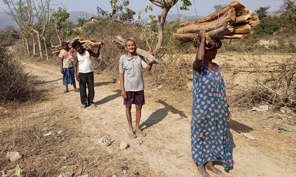 दाउराको सहारामा चलेको जीवन : जंगल जाँदा खान पाइन्छ, बिरामी पर्दा भोकभोकै